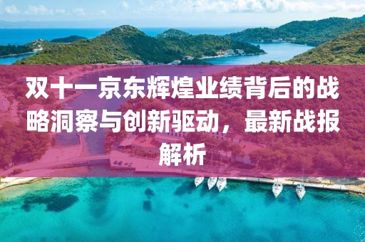 双十一京东辉煌业绩背后的战略洞察与创新驱动，最新战报解析