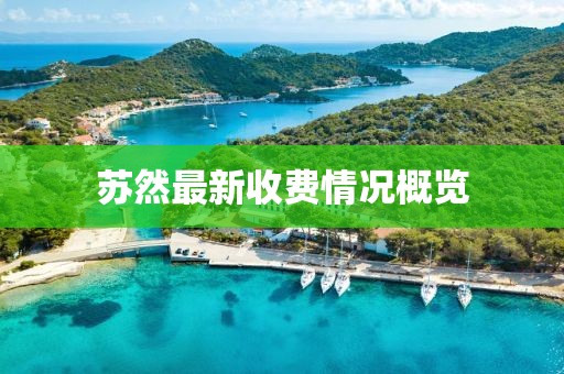 苏然最新收费情况概览