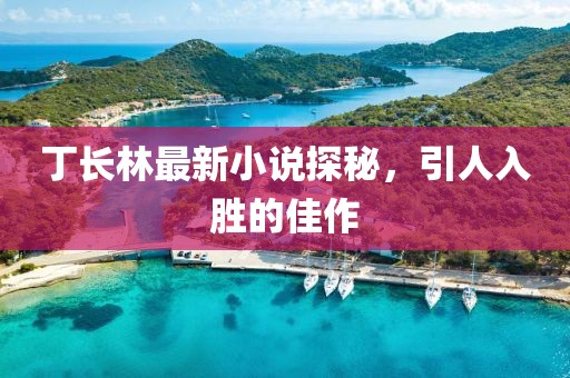 丁长林最新小说探秘，引人入胜的佳作