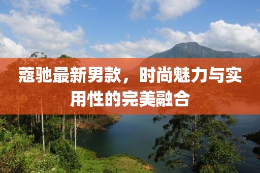 蔻驰最新男款，时尚魅力与实用性的完美融合