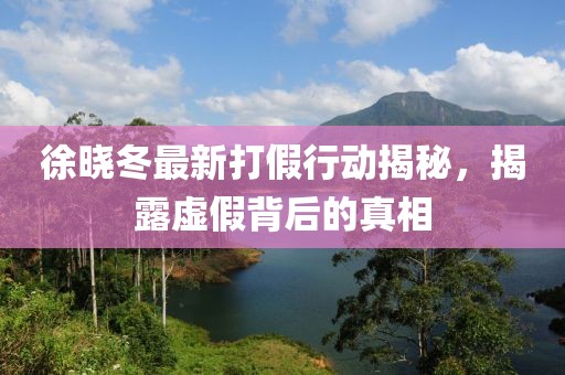 徐晓冬最新打假行动揭秘，揭露虚假背后的真相
