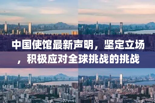 中国使馆最新声明，坚定立场，积极应对全球挑战的挑战