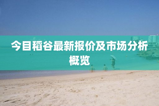 今目稻谷最新报价及市场分析概览