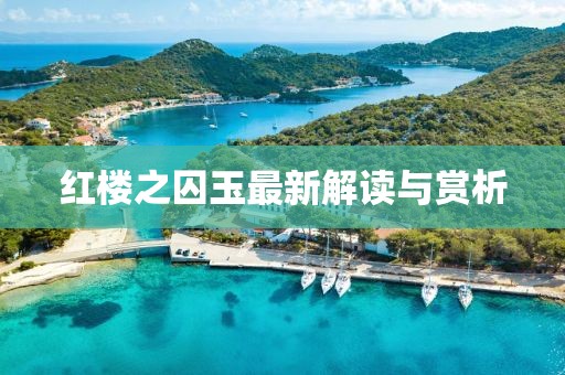 红楼之囚玉最新解读与赏析