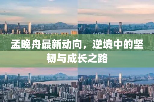 孟晚舟最新动向，逆境中的坚韧与成长之路