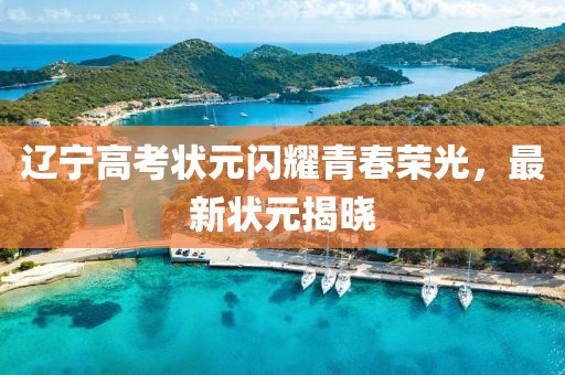 辽宁高考状元闪耀青春荣光，最新状元揭晓