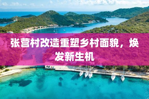 张营村改造重塑乡村面貌，焕发新生机