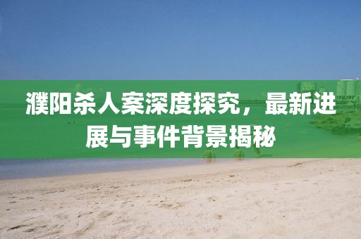 濮阳杀人案深度探究，最新进展与事件背景揭秘