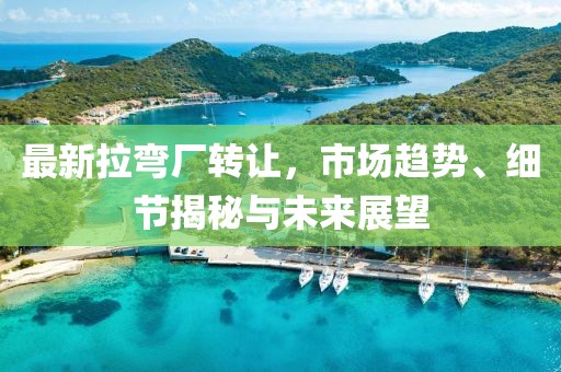 最新拉弯厂转让，市场趋势、细节揭秘与未来展望