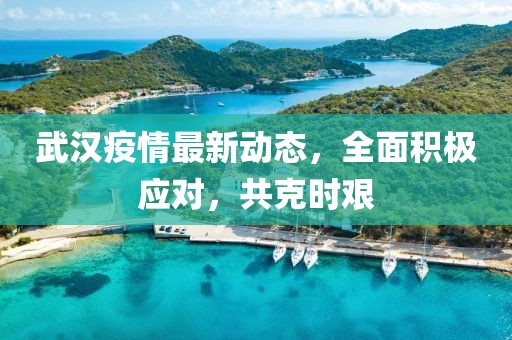 武汉疫情最新动态，全面积极应对，共克时艰