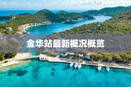 金华站最新概况概览
