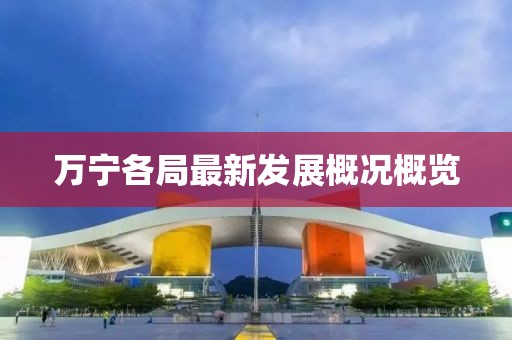 2024年12月 第242页