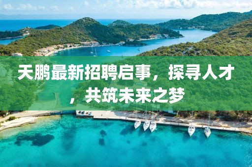 天鹏最新招聘启事，探寻人才，共筑未来之梦