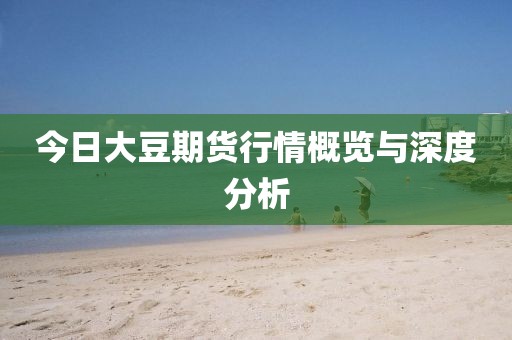 今日大豆期货行情概览与深度分析