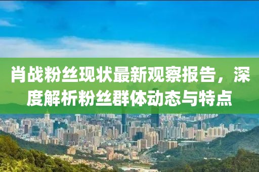 肖战粉丝现状最新观察报告，深度解析粉丝群体动态与特点