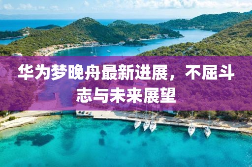 华为梦晚舟最新进展，不屈斗志与未来展望