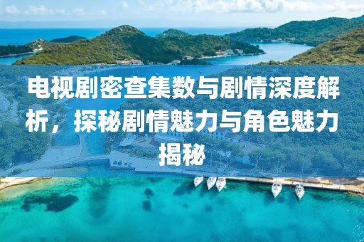 电视剧密查集数与剧情深度解析，探秘剧情魅力与角色魅力揭秘