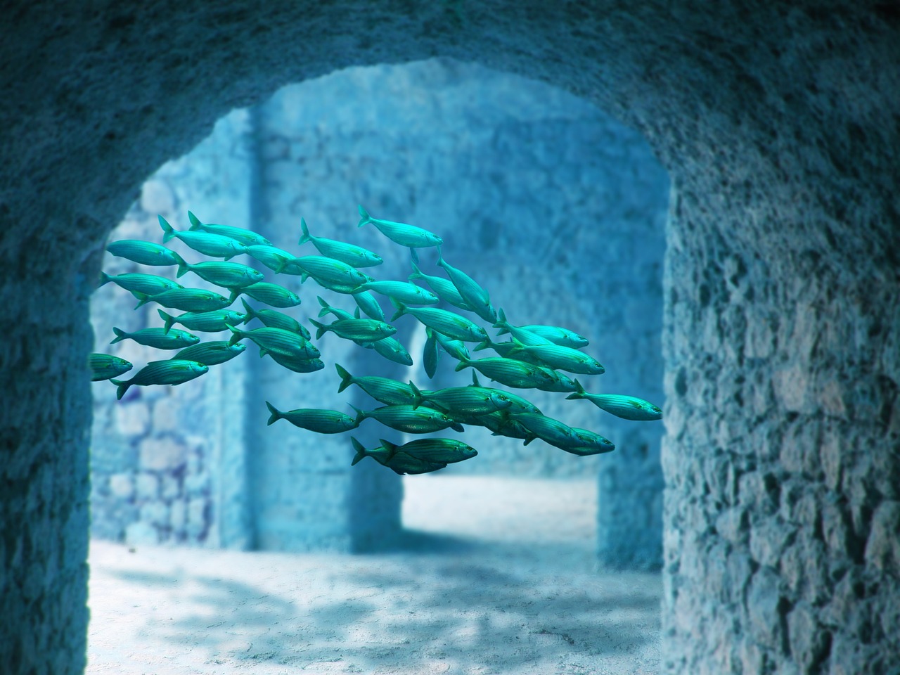 探索海洋世界的新纪元，真人捕鱼最新版