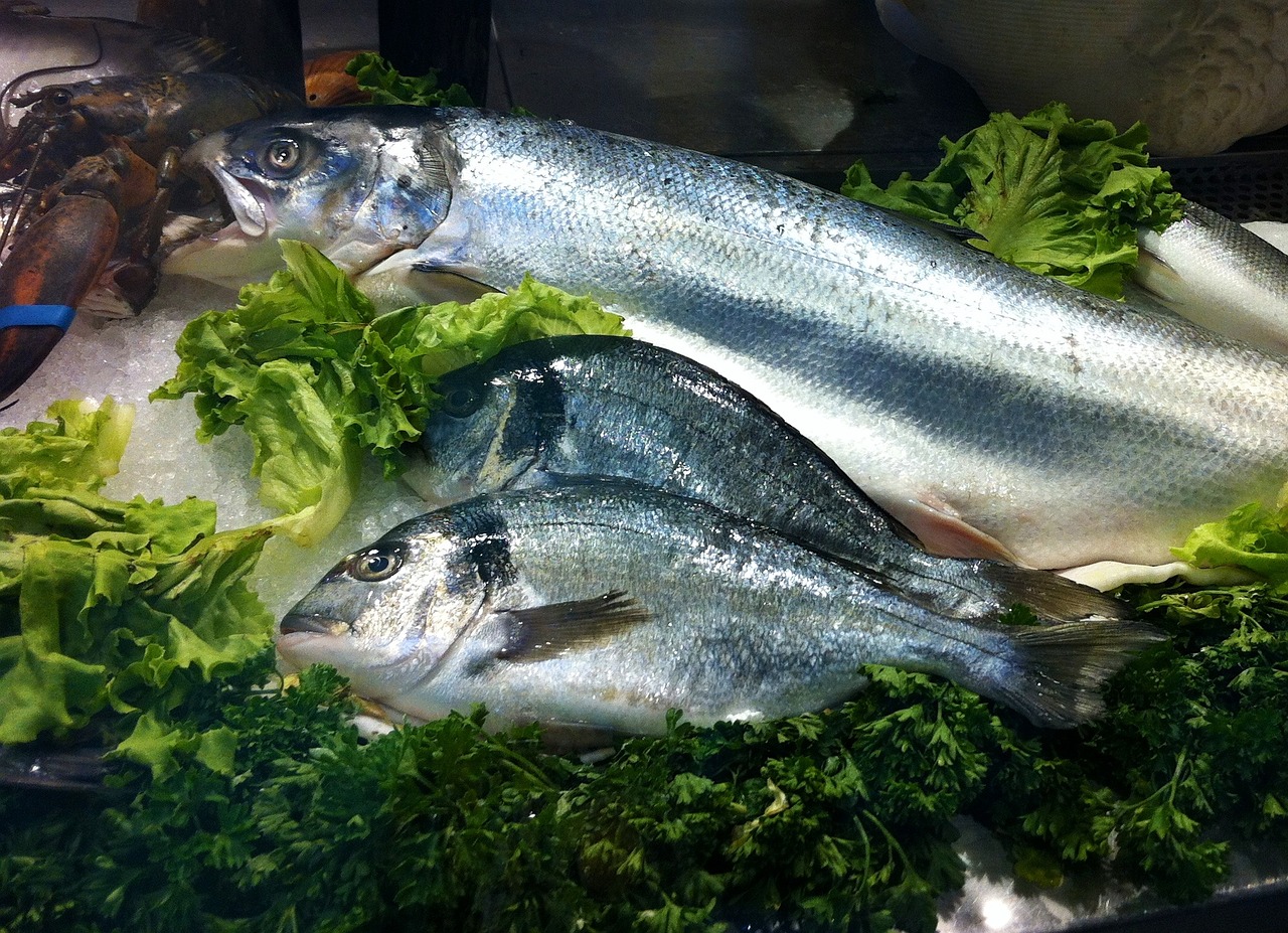 探索海洋味蕾盛宴，最新海鲜美食大揭秘
