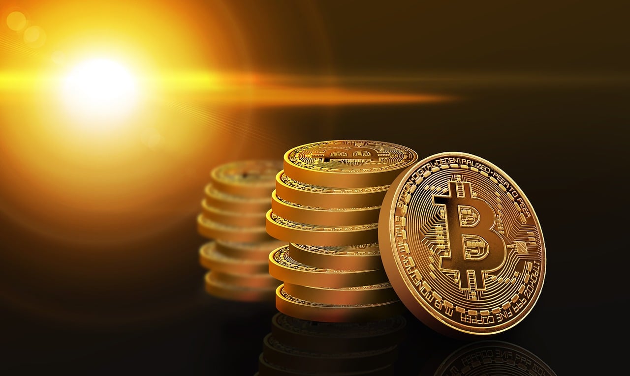 胡椒价格最新行情分析，2019年市场走势概览