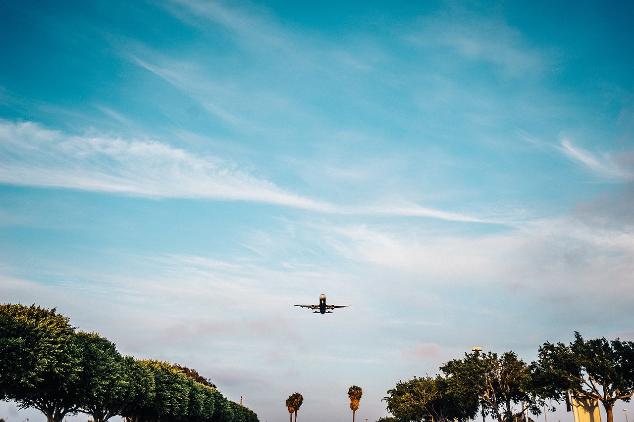 童天爱的最新探索与成长之旅