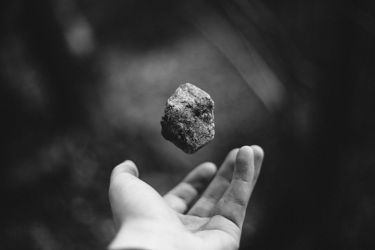 贺建奎最新处理，科技伦理与生命科学的进步挑战
