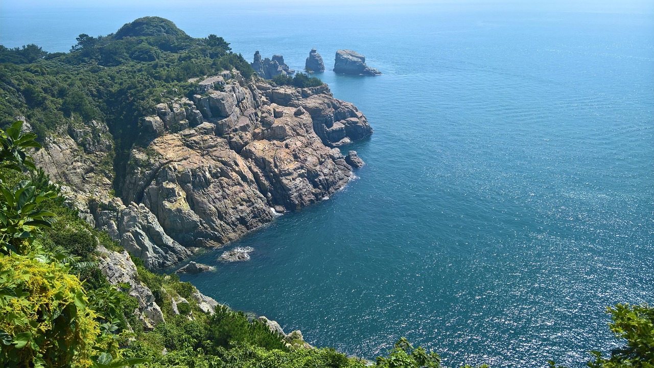 海心 第12页