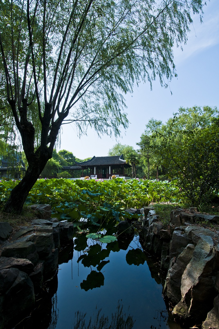 苏州度假区最新动态揭秘，展望未来发展，揭开未来的面纱