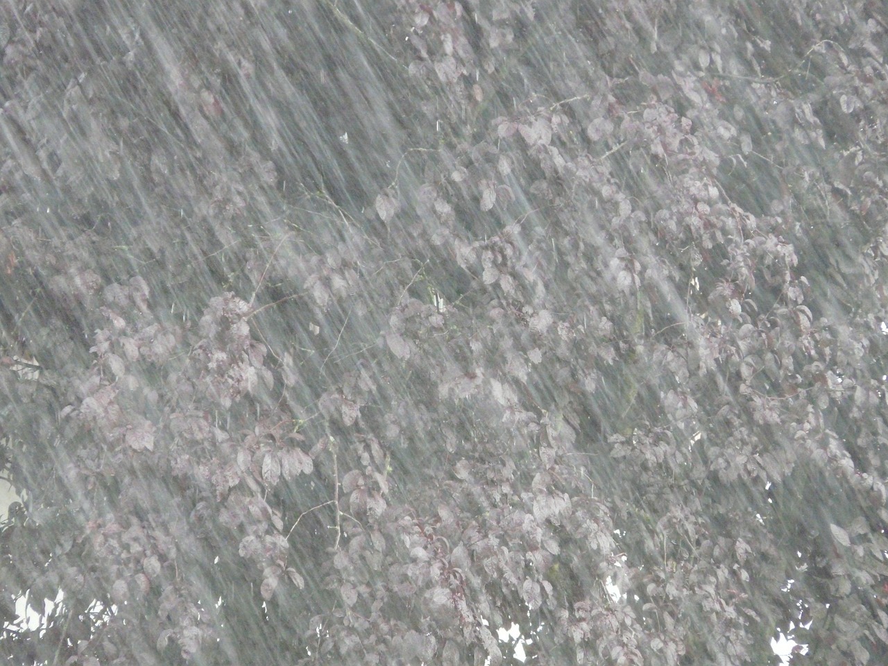 南京大暴雨最新情况报告更新