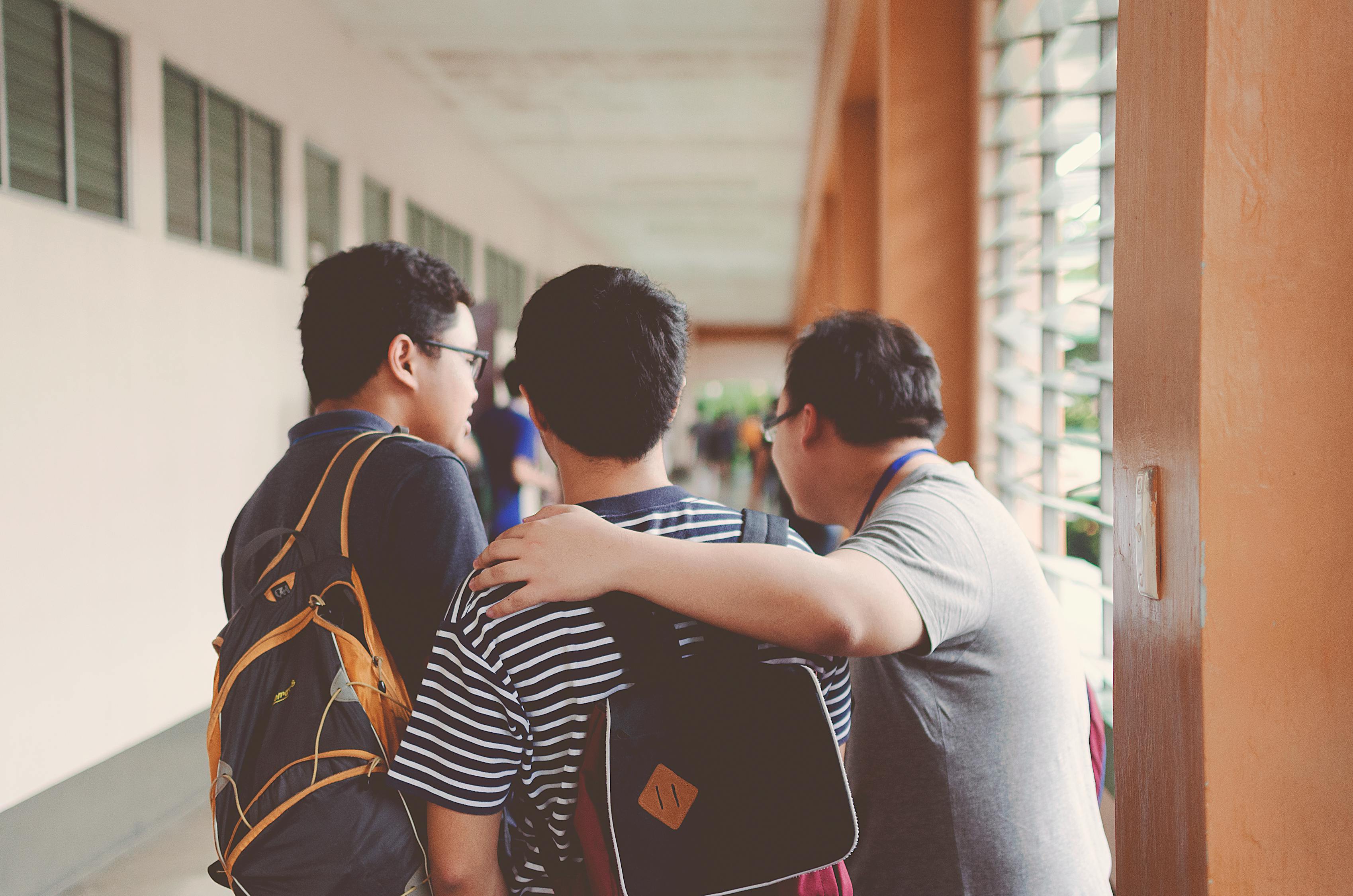 最新开学学校，重塑教育的新篇章启航时刻