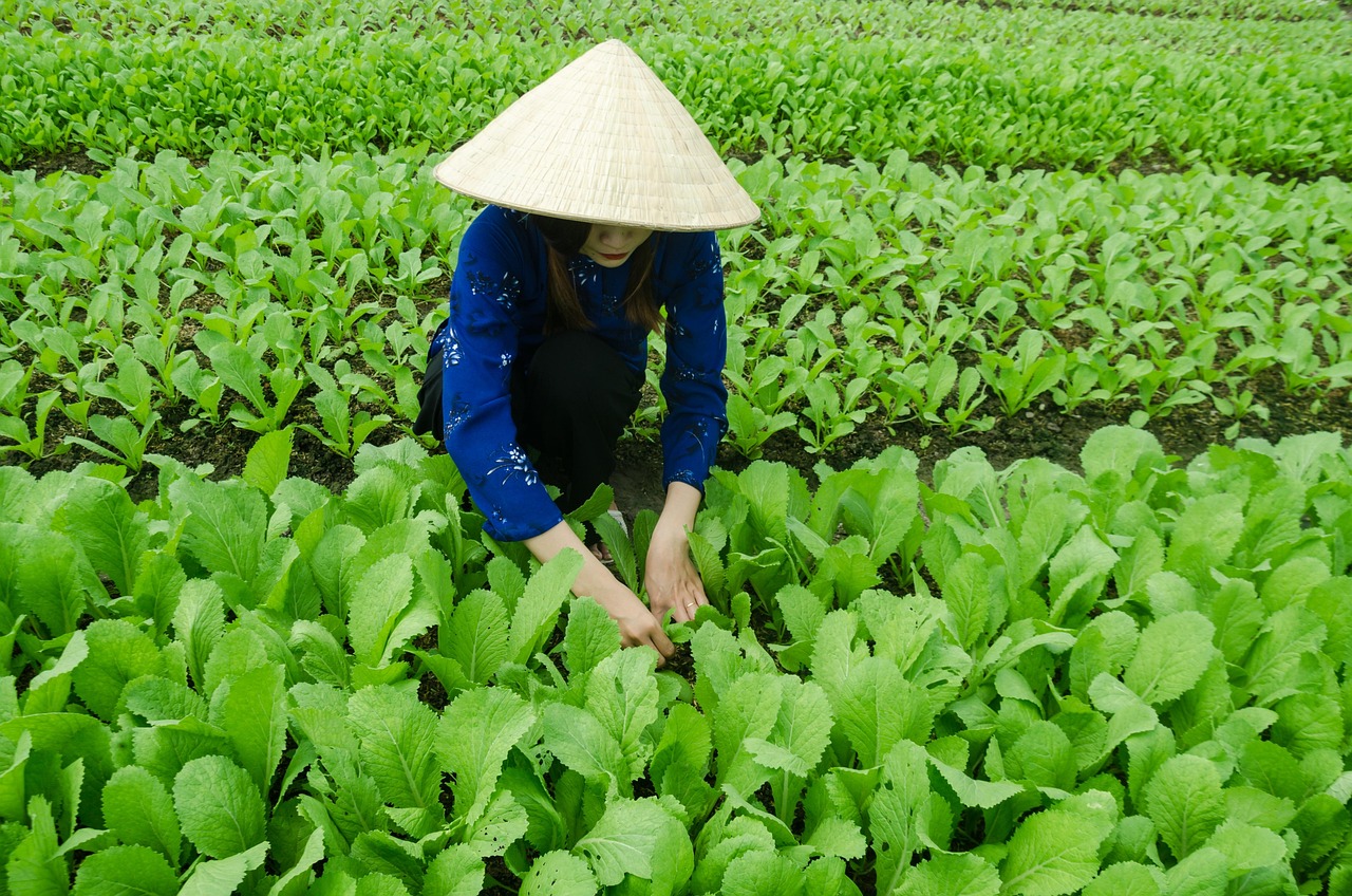 永善县最新发展动态概览