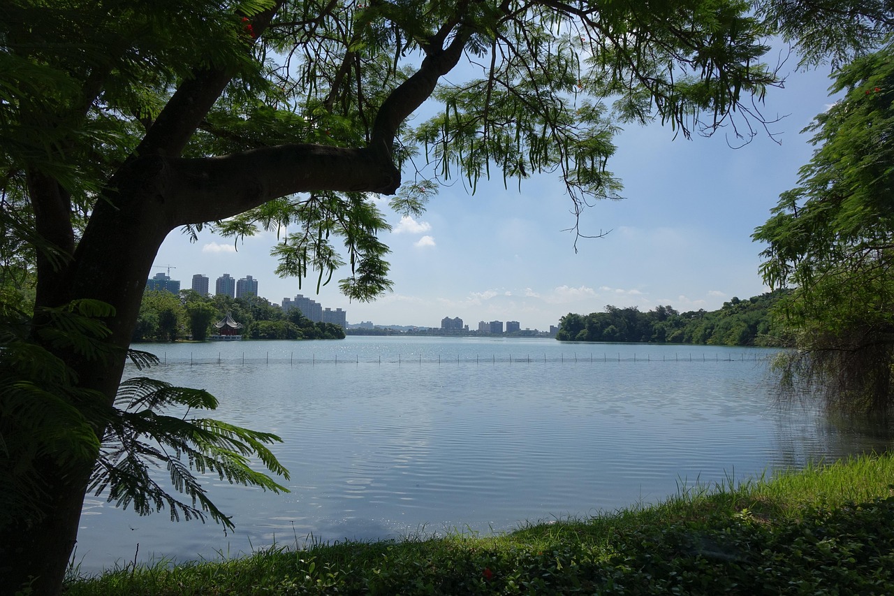李登辉最新动态引发台湾政治风云再起热议