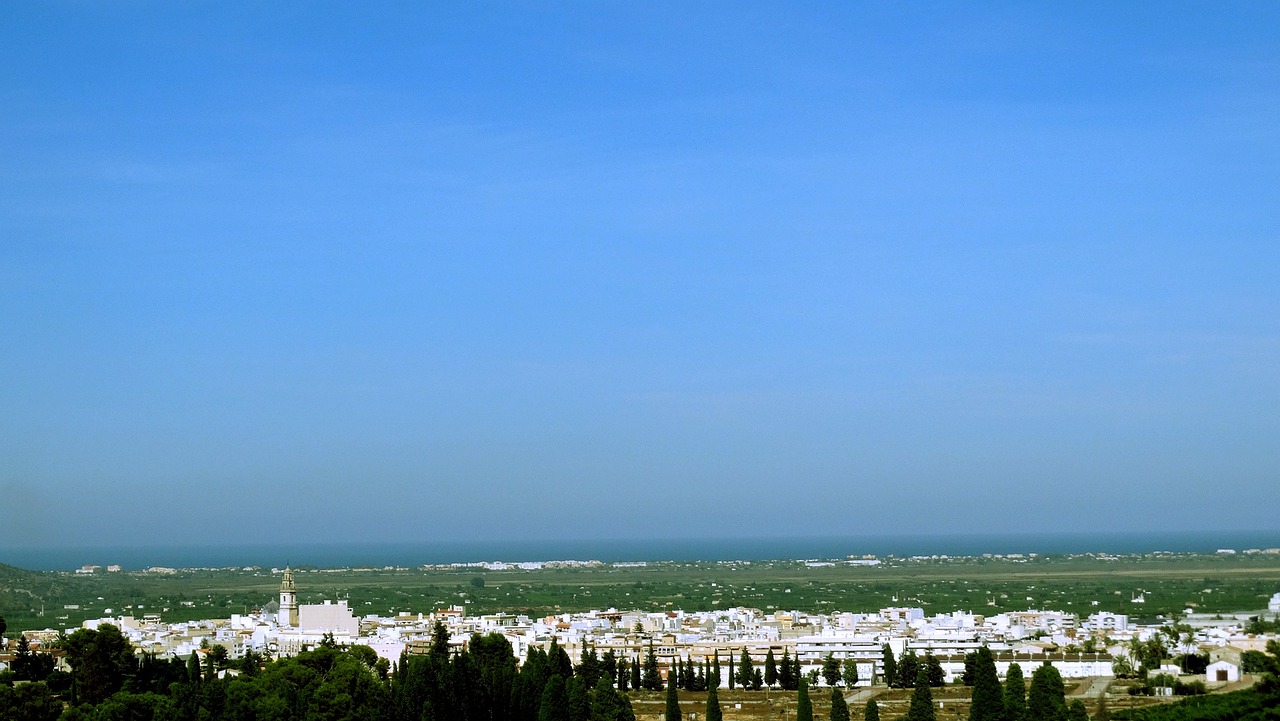 三月麻山药价格行情聚焦，最新市场动态与价格分析