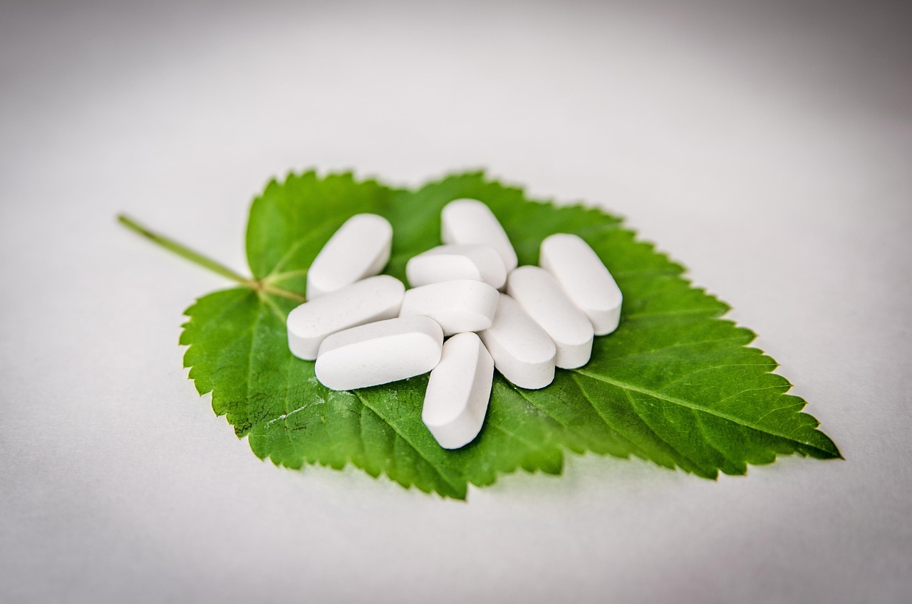 五月棉花蚜虫防治新技术研究与应用概览