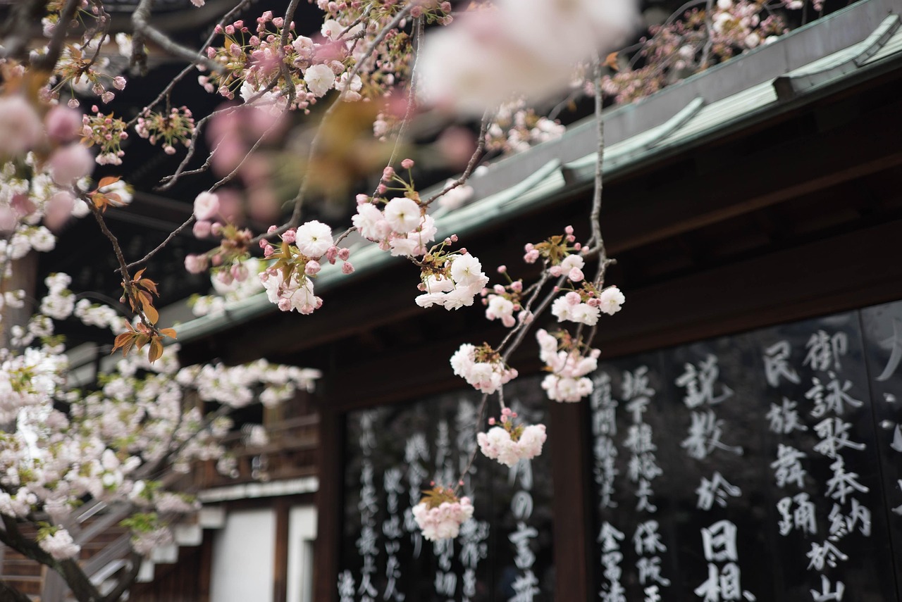 五月日本种子最新发布，探索未来植物科技的新篇章