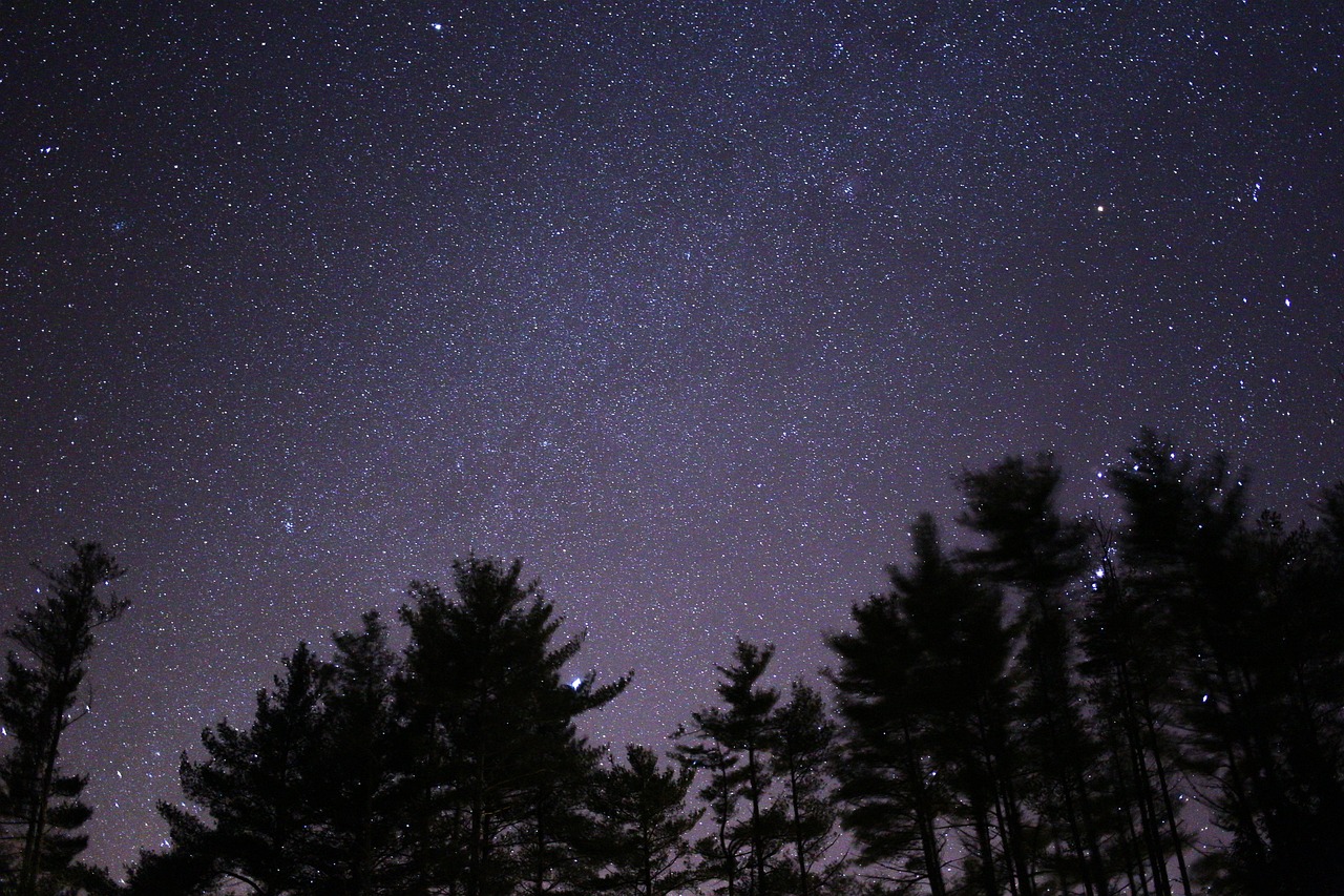 五月明星璀璨之夜，温馨祝福视频盛宴